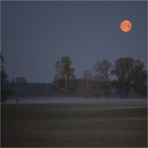 Фотограф тумана