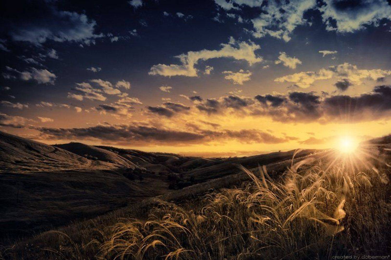 , Денис Богомолов