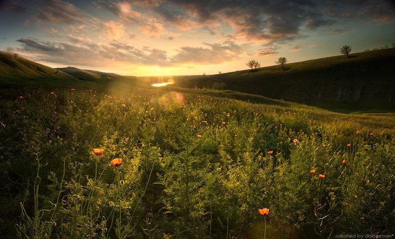 Донские рассветы фото превью