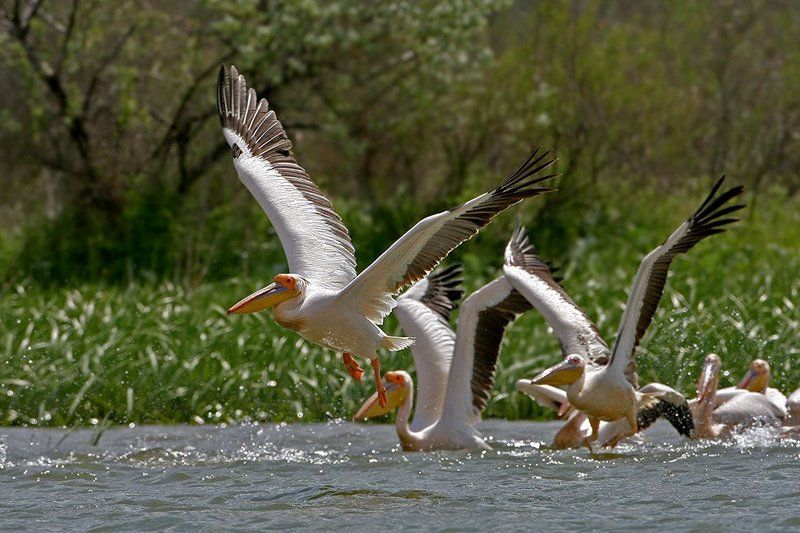 Лестница в небо фото превью