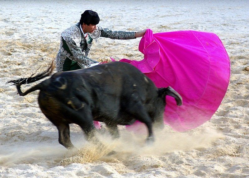 Tourada a Portuguesa фото превью