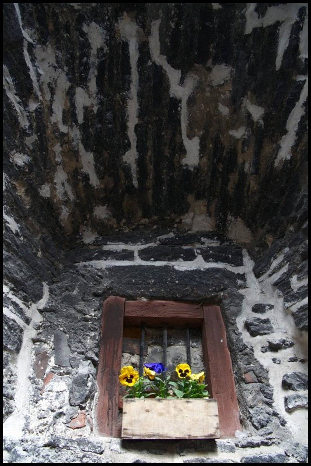 vana, tallinn, Cairns (Павел Васильев)