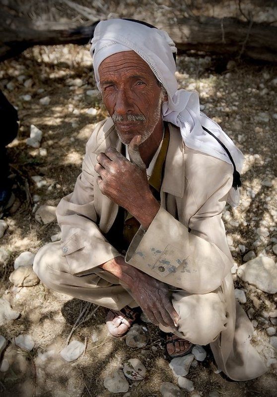 Тракторист фото превью