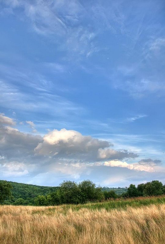 hdr Середина лета фото превью