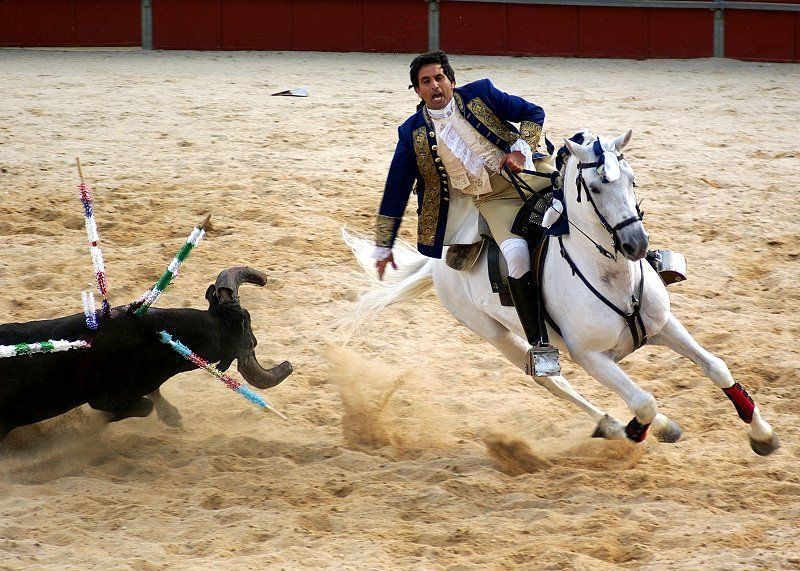 Moment of glory фото превью