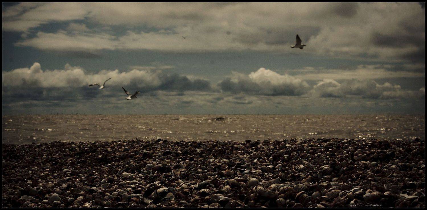 азовское, море, Sebastiano Pereira