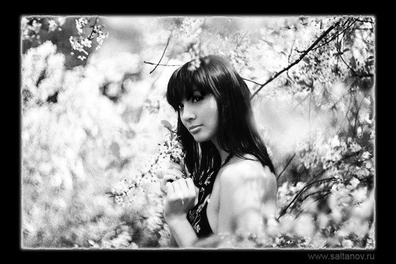 Кружила вишня пьяными садами. фото превью