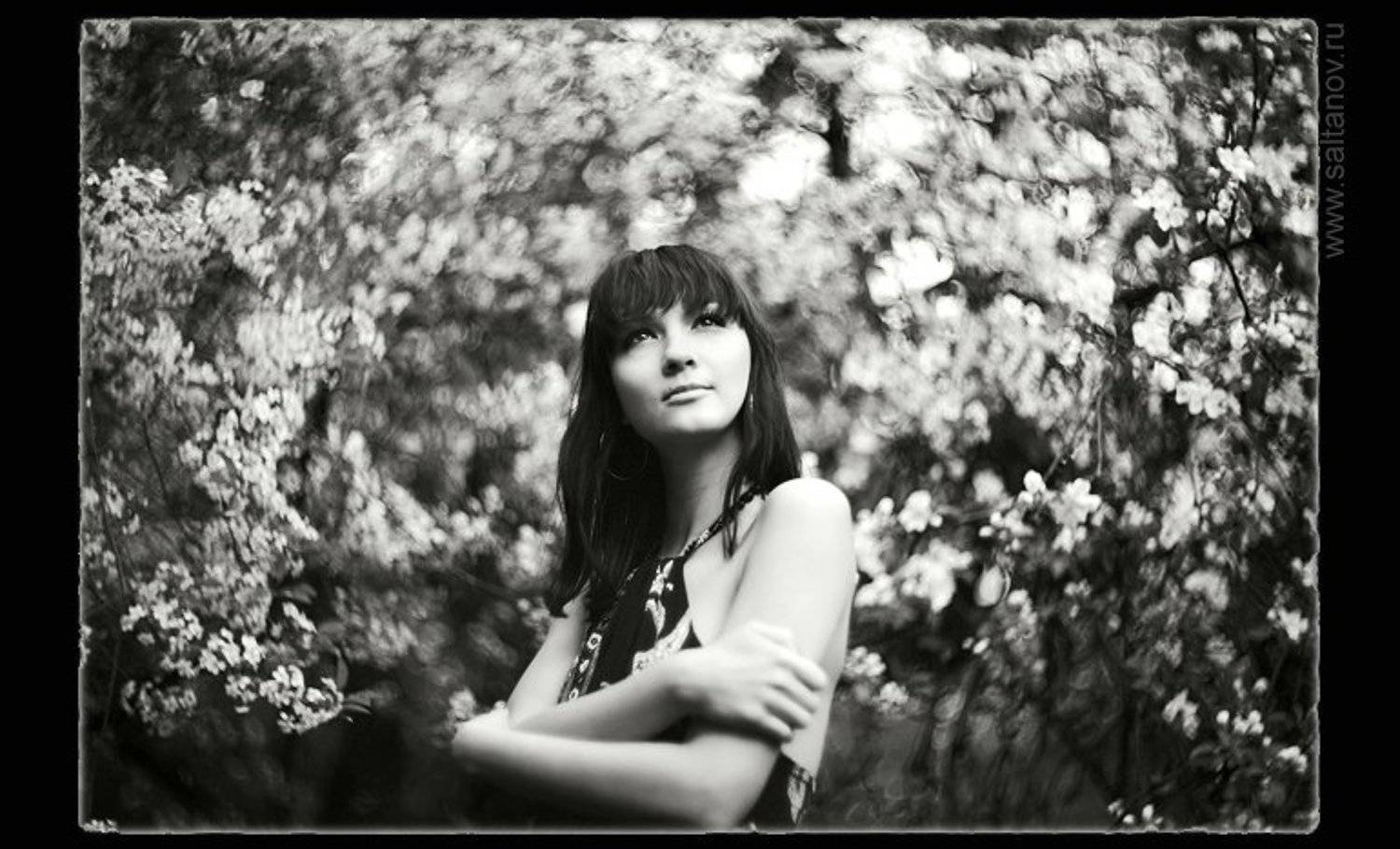 , Антон Салтанов