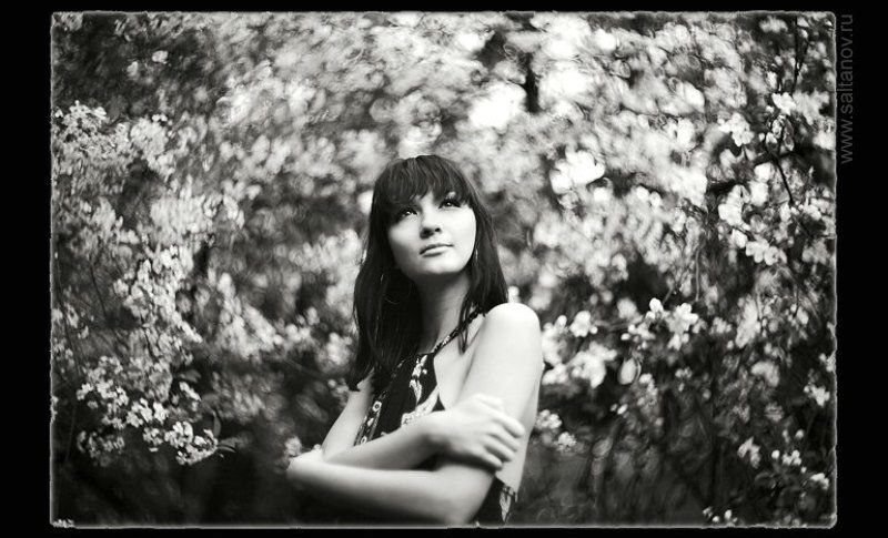 Кружила вишня пьяными садами. фото превью