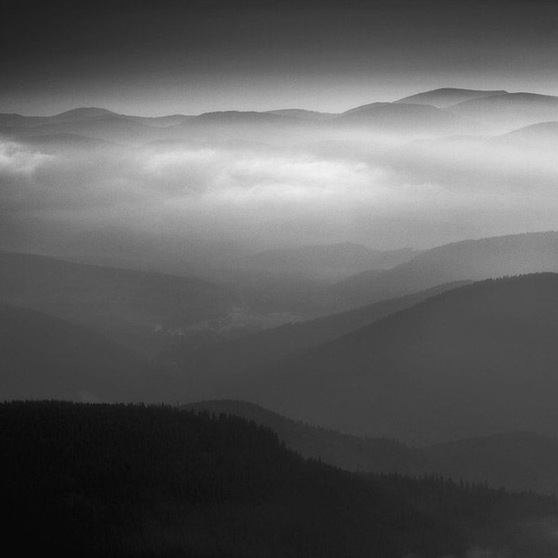 /.\\ фото превью