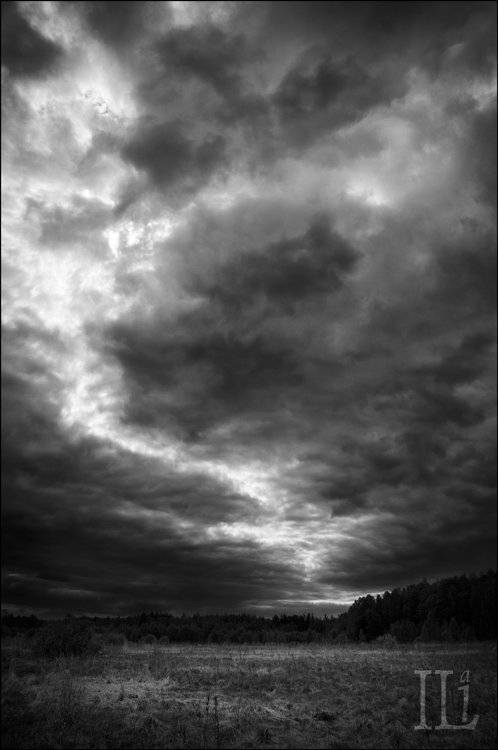 небо, лес, поле, Илья Панфилов