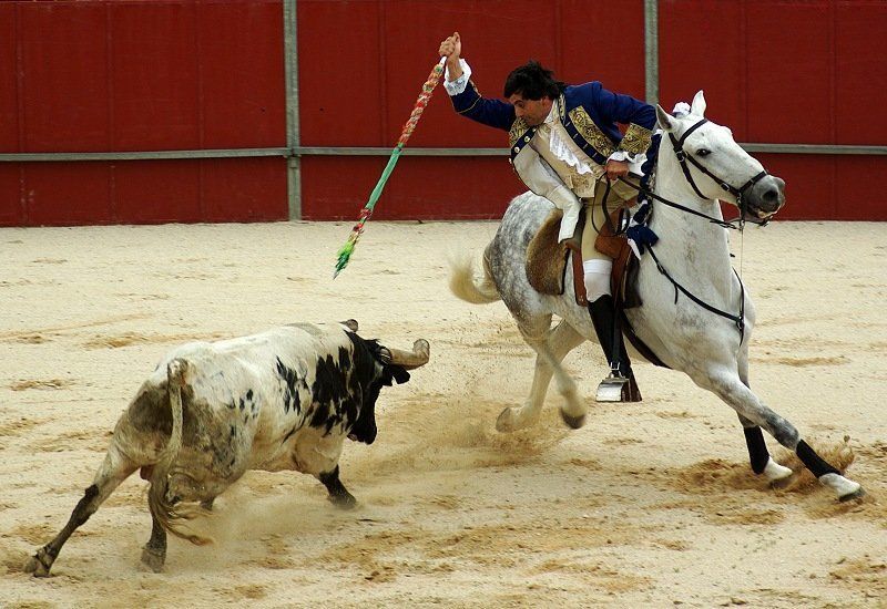 Corrida.Moments. фото превью