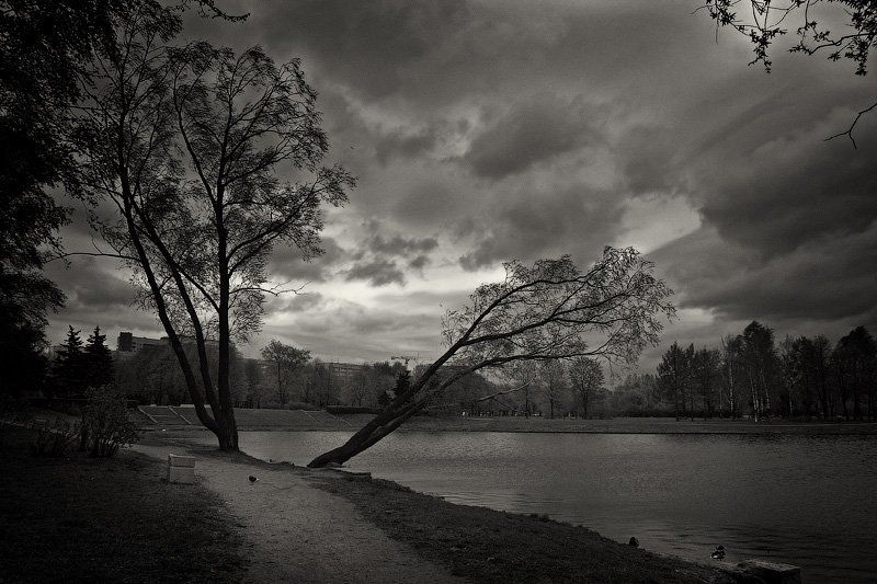 город ,парк ,пруд ,дерево ,берег ,дорожка ,трава ,листва ,туча ,гроза ,облако ,набережная ,дом ,темнота ,весна ,сity ,park ,pond ,tree ,coast ,path ,grass ,foliage ,cloud ,thunder-storm ,quay ,house ,darkness ,spring, dyadyavasya Тёмный пруд фото превью