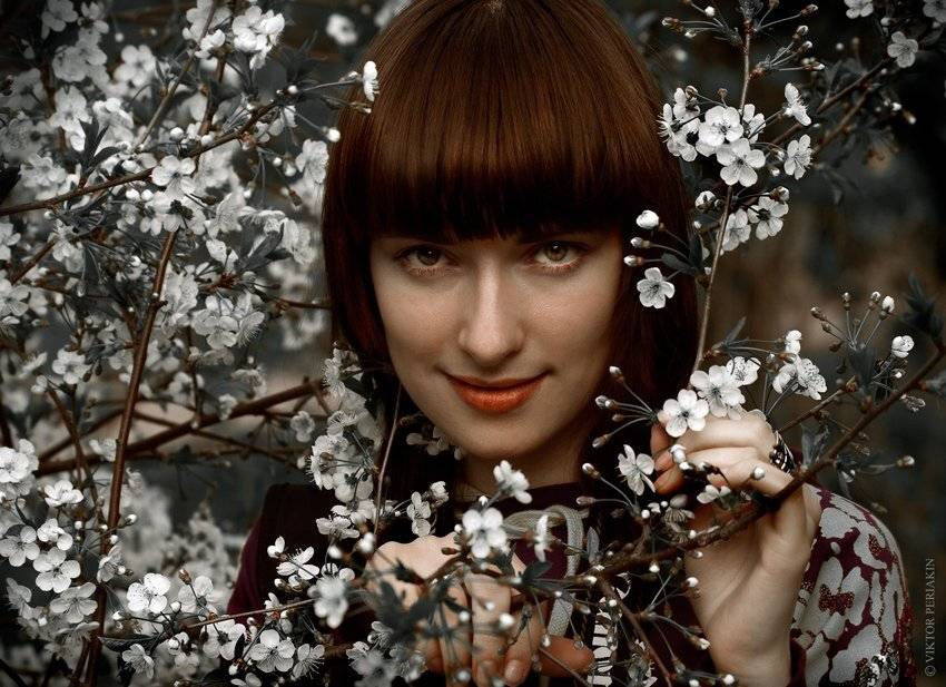 , Виктор Перякин