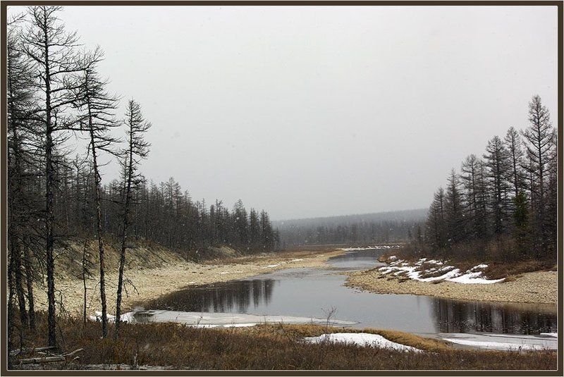 снегопад, река, тайга, весна Снег пошёл фото превью
