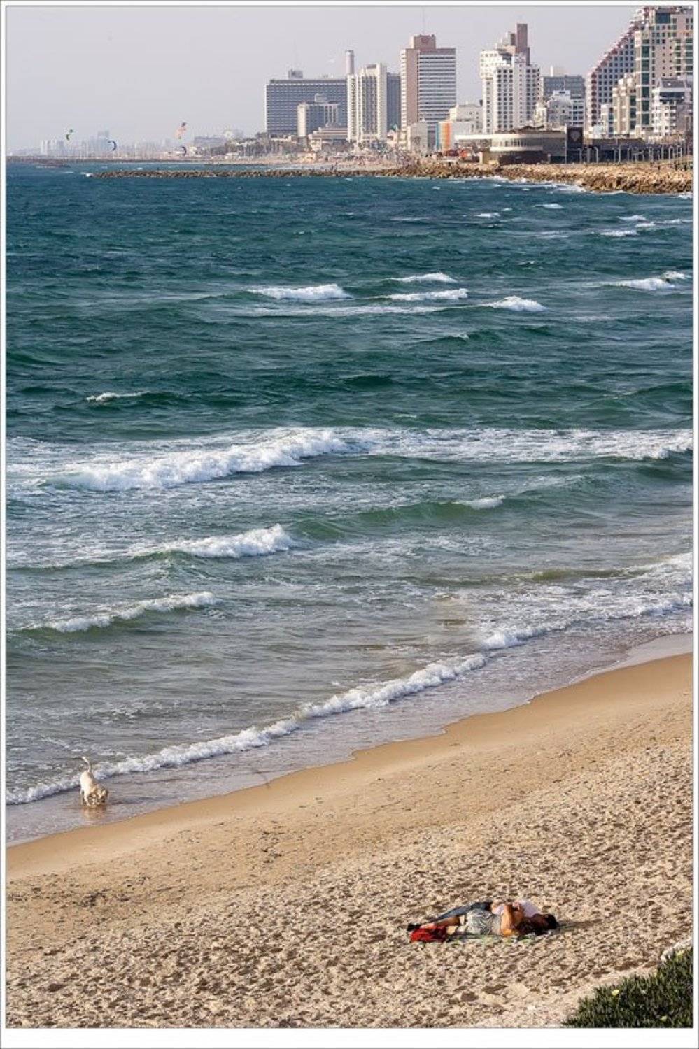 , Дмитрий Кочергин