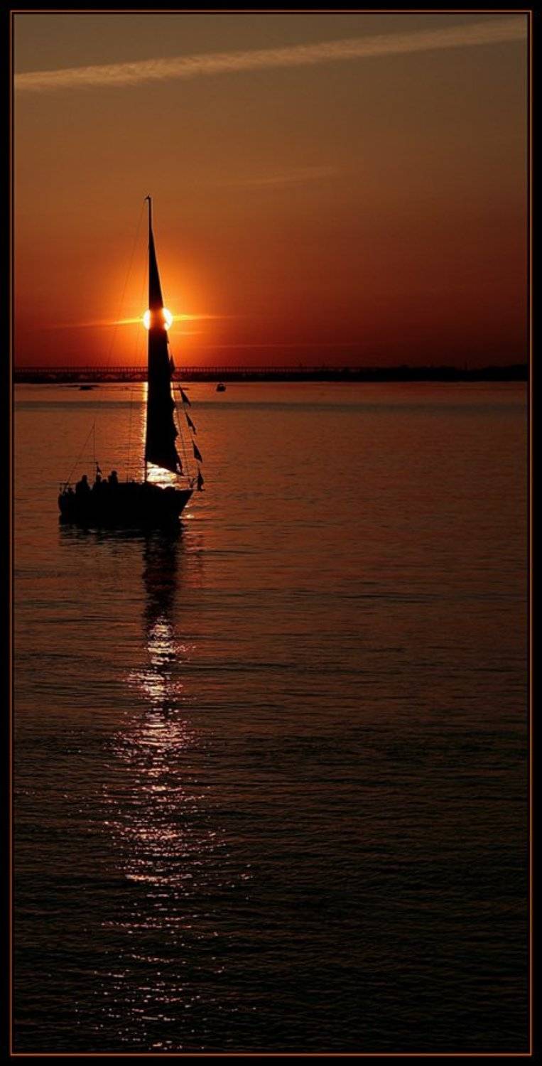 , Александр Сухотин