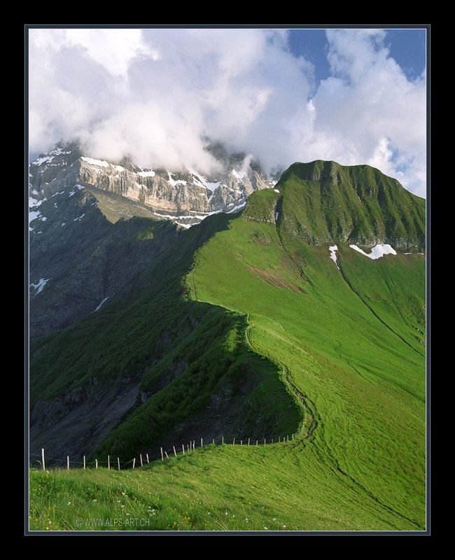 Большой швейцарский плетень фото превью