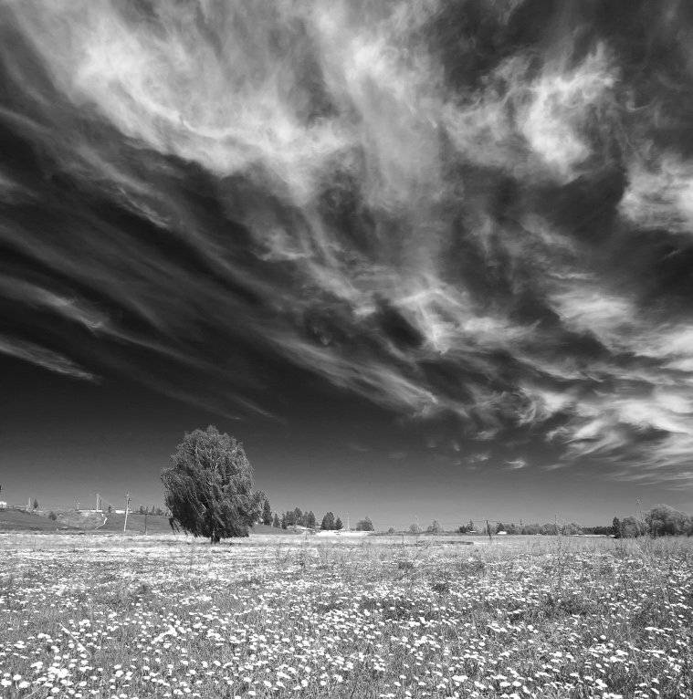 , Эдуард VTORNIK  Николаев