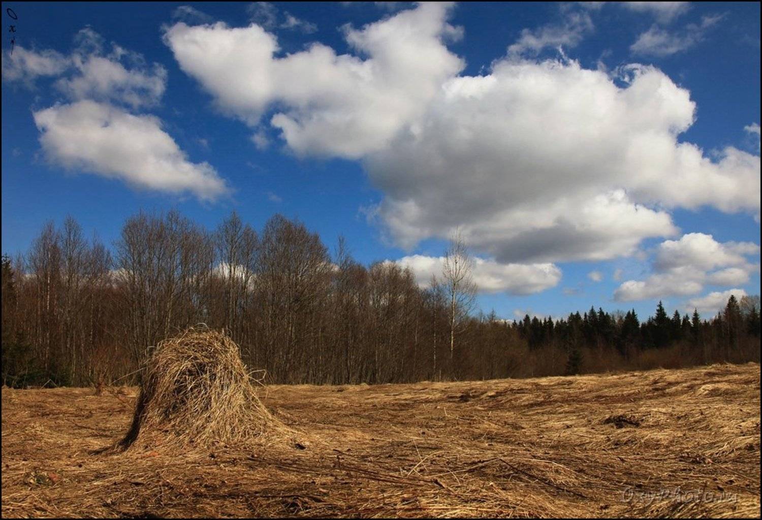 russia, россия, валдай, valdai, селигер, seliger, весна, spring, Оксана Борц