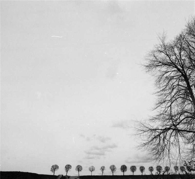 35mm, nikon em, 20mm 2.8 ... фото превью