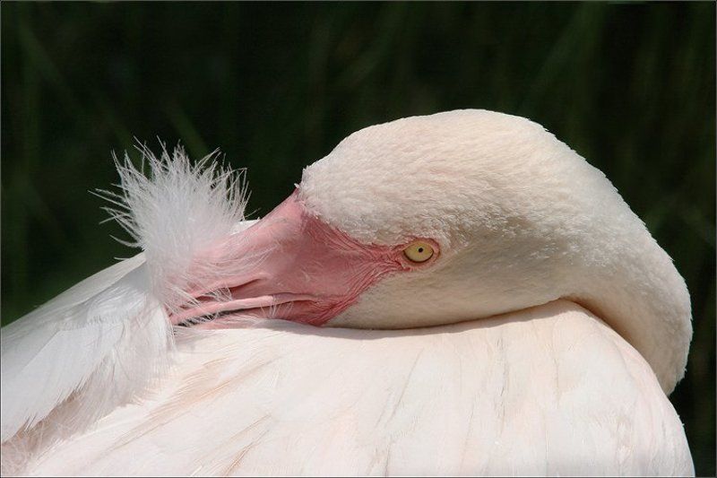 Некому согреть... фото превью