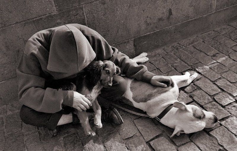 Про взгляд фото превью