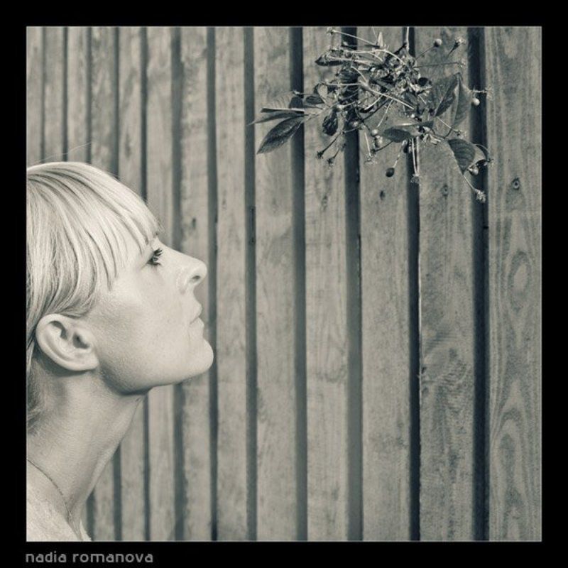 fresh, blond fresh фото превью