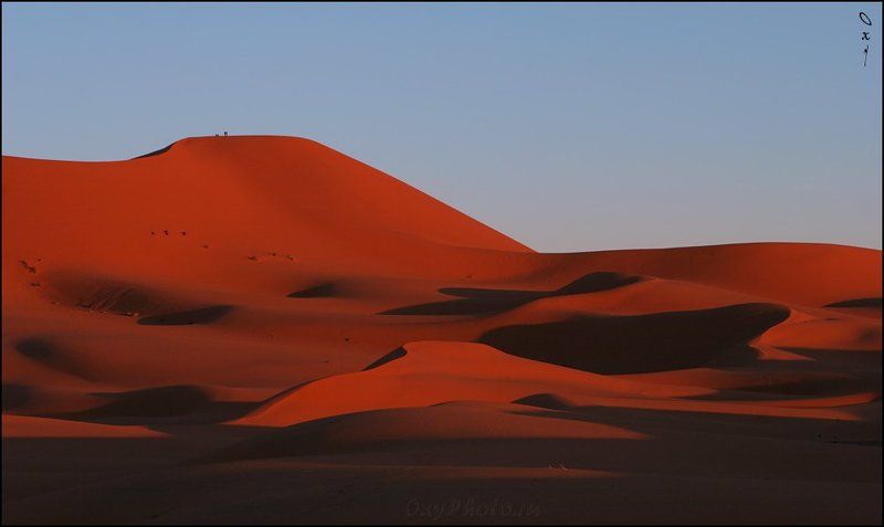 африка, марокко, africa, morocco, maroc, магриб, песок, дюны, пустыня, сахара, sand, dune, desert, sahara, эрг-шебби, erg-chebbi, merzouga, мерзуга Проводы солнца... фото превью