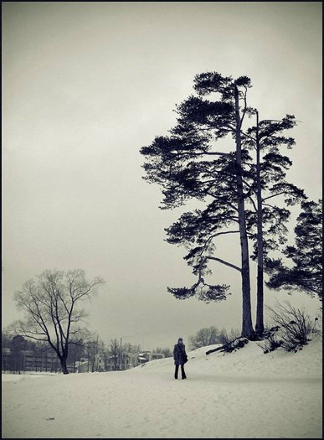 2009, март, пейзаж, KIRILL KULIKOV(KARAKULEV)