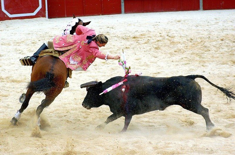 Corrida.Moments. фото превью