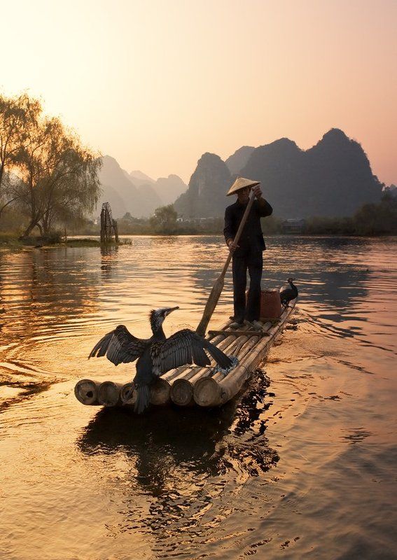 Рыбалка с бакланами фото превью