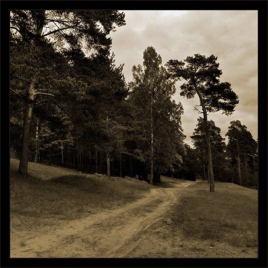 луга, лангина гора, Kirill Shapovalov