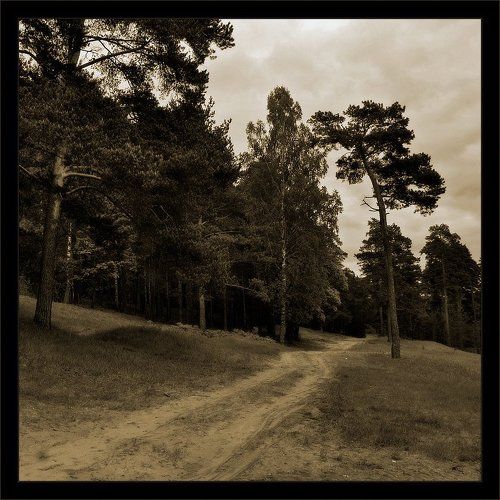 Простой майский пейзаж