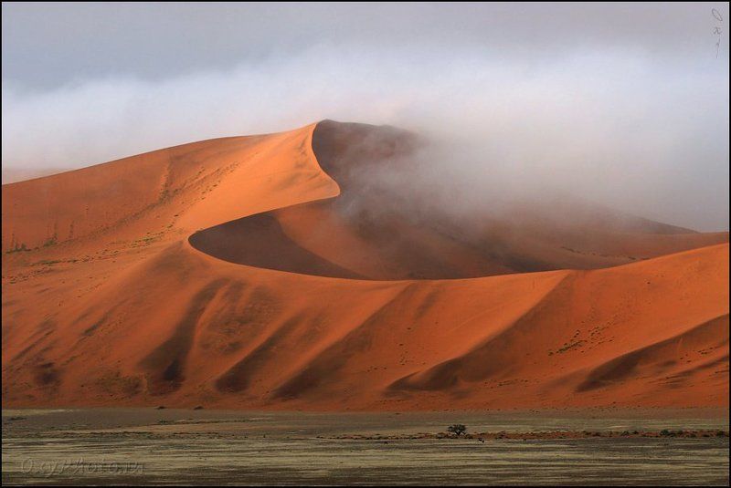 дюны, соссусвлеи, пустыня намиб, намибия, африка, dunes, sossusvlei, namib desert, namibia, africa В мягких утренних одеждах... фото превью