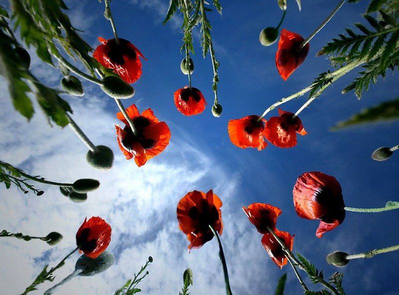 в небо фото превью