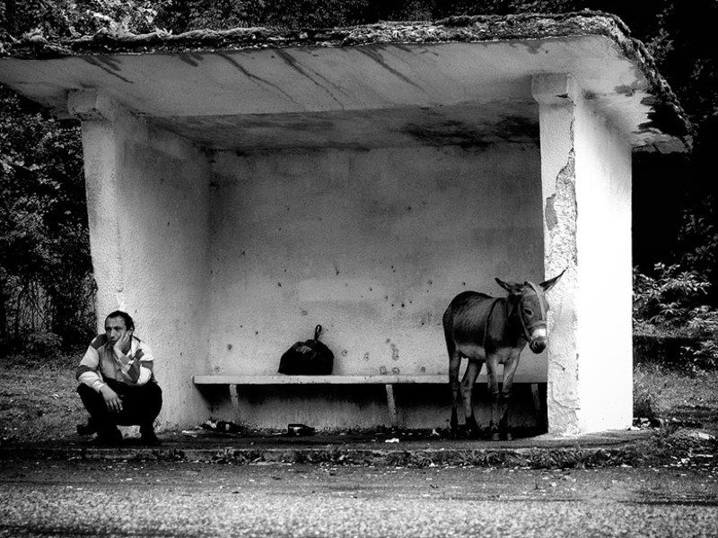 остановка,мужик,осел Остановка по требованию... фото превью