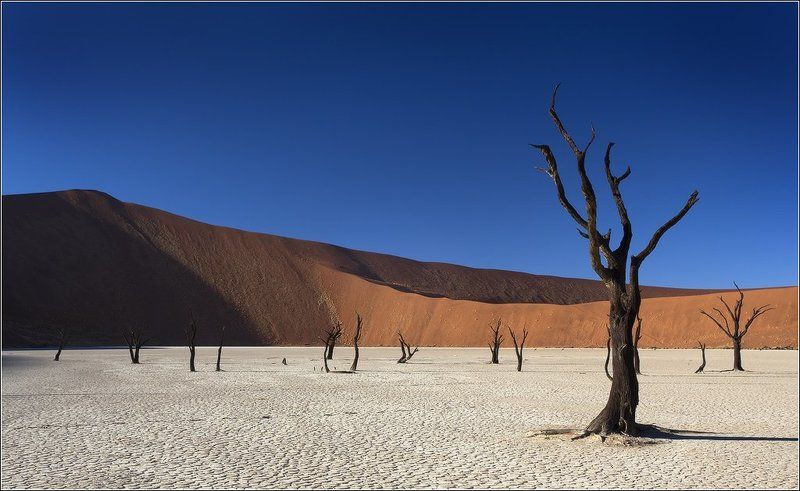 Пустыня Намиб, этюд № 8 фото превью