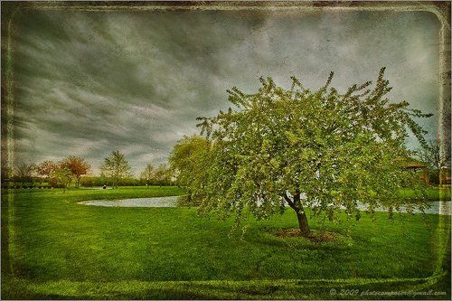 An average day of spring....