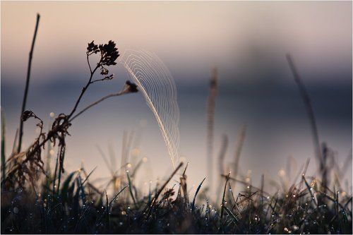 Весенний парус