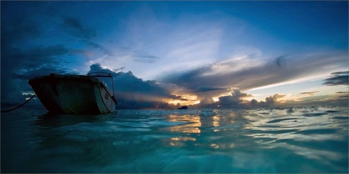 утречко, Нетушки