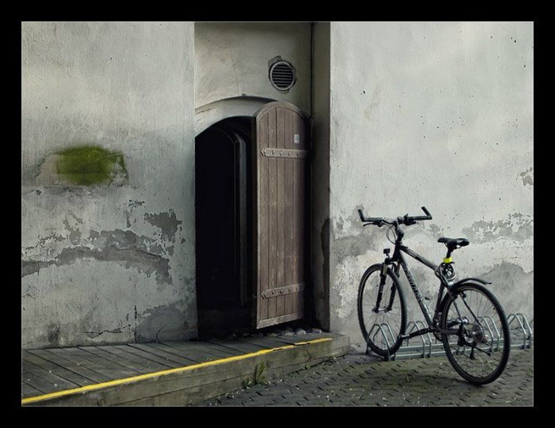 yellow yellow morse фото превью