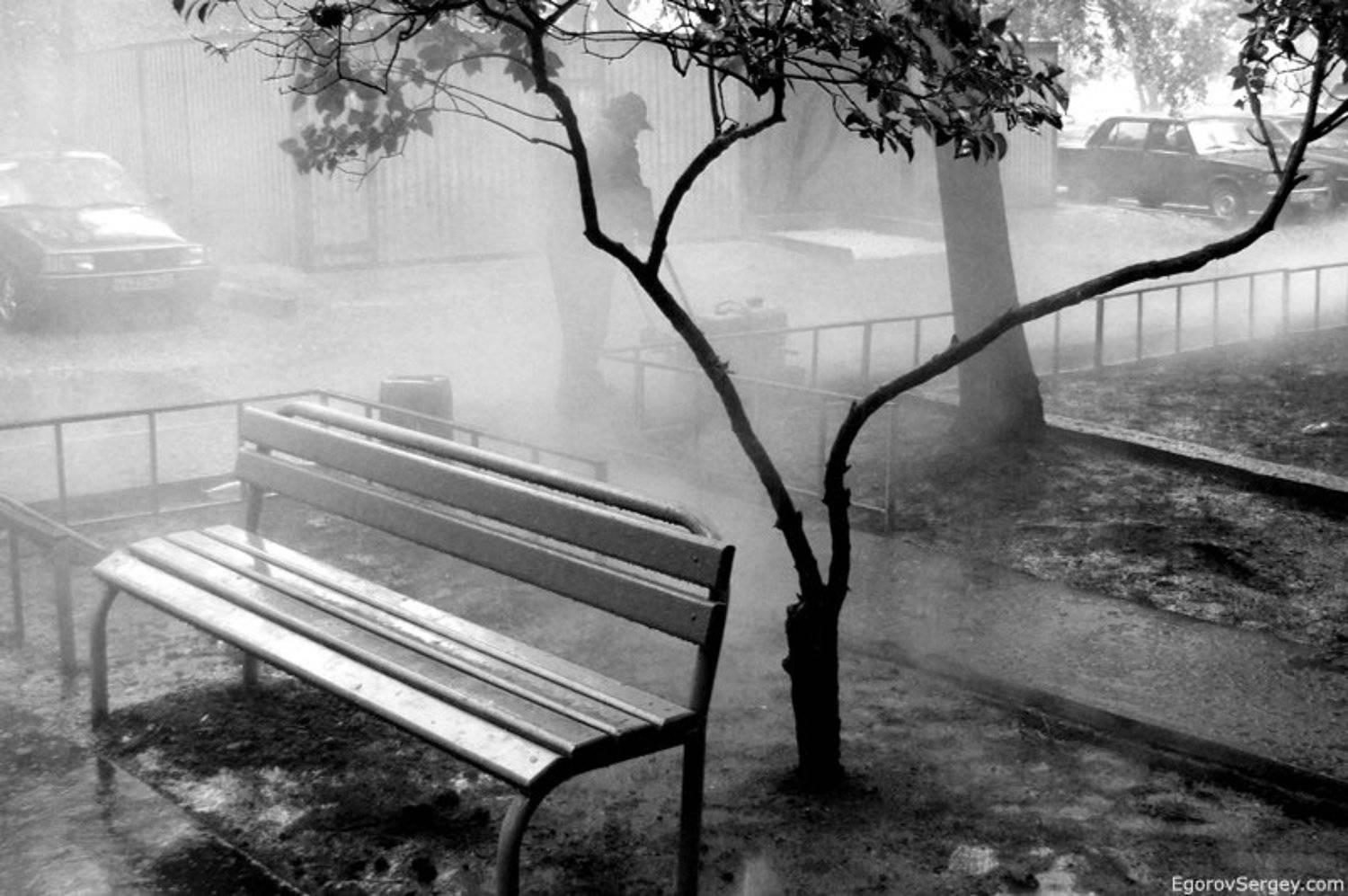 дождь, скамейка, цифра, EgorovSergey