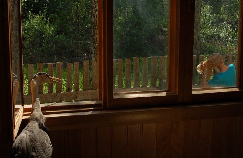 когда журавль в руках... фото превью