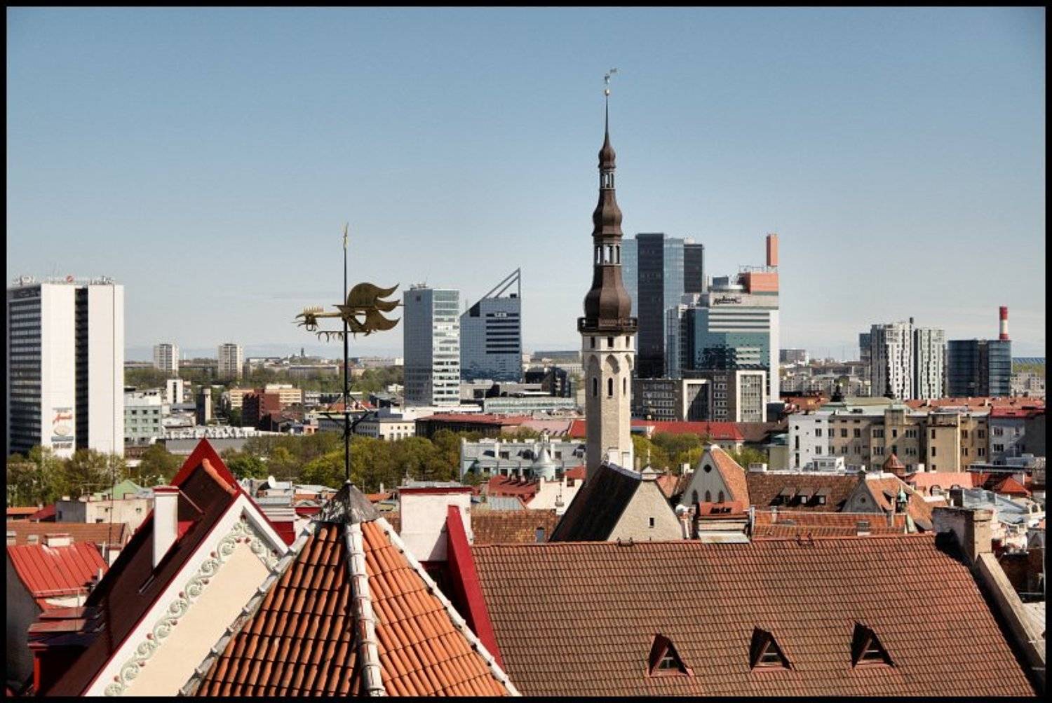 таллинн, Cairns (Павел Васильев)