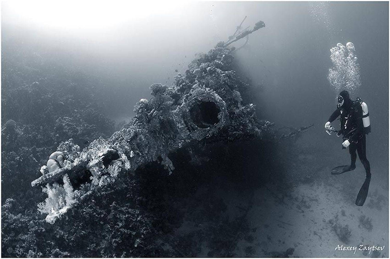 зайцев, обучение, подводной, фотографии, , красное, море, рэк, Alexey Zaytsev