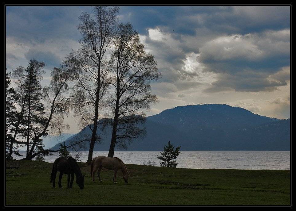 телецкое, озеро, алтай, Юрий Фролов
