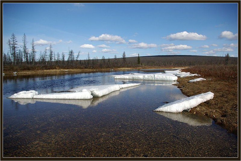 река, тайга, льдины, весна, якутия Весенне-северный пейзаж фото превью
