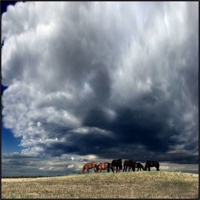 хакасия ЩУПАЛЬЦЫ  БУРИ фото превью