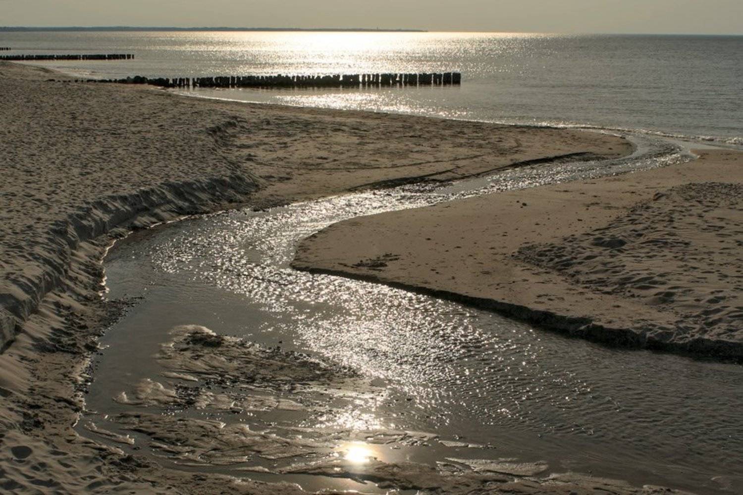 , Павел Дунюшкин